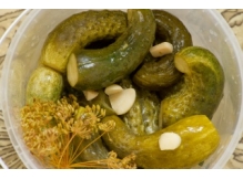 ������ ����������� � ��������