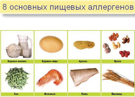 allergeny.jpg allergeny.jpg