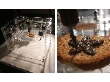 3D-     