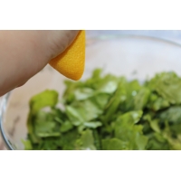Как приготовить салат из листового салата и свежих огурцов