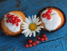 ������� � ��������