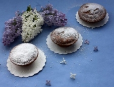 ������������ ����� � ������ "��������� ����������"