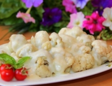 ������� ������� ��� ������