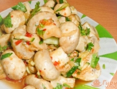 ����� �� �����������