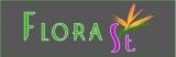 Мастерская флористики «Florastudio» Мастерская флористики «Florastudio»