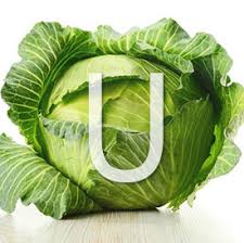 u1.png u1.png