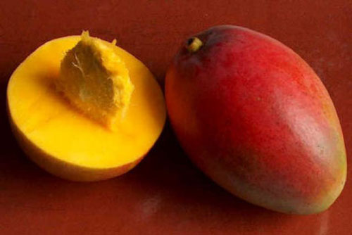 mango.jpg