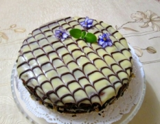 tort fialka.png tort fialka.png