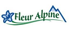 fleur_alpine.jpg